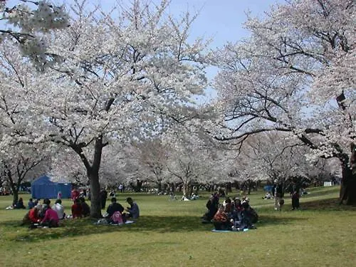 Haneda Homestay Tokyo